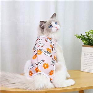 Cat Neuter Clothing After Surgery Fruit Series Four Seasons Pet Clothing Supplies Dog Small Medium Dog Package